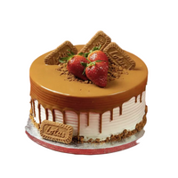 Lotus Biscoff Cake