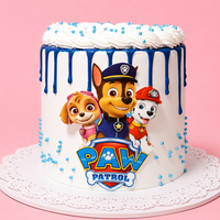 Paw Patrol Drip Cake