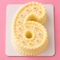 Number Cake - 6