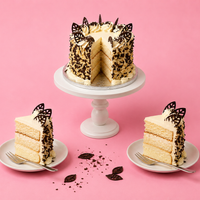 Mini Choco Vanilla Cake