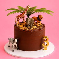 Chocolate Safari 3rd Birthday Cake