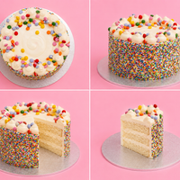 Classic Rainbow Sprinkle Cake