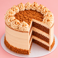 Vegan Biscoff Bliss Cake