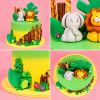 Safari Adventure Ombre Cake