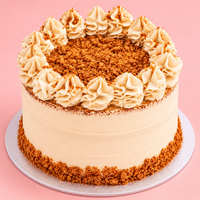 Vegan Biscoff Bliss Cake