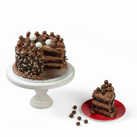 Chocolate Overload Cake