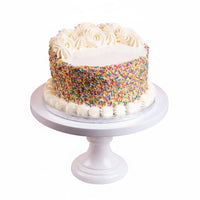 Frosted Rainbow Fantasy Cake